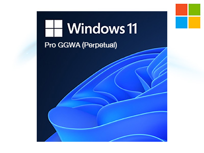 Microsoft Windows 11 Pro GGWA (Perpetual) (DG7GMGF0L4TL)