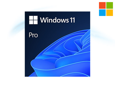 Microsoft Windows 11 Professional 64-bit Eng (OEM) (FQC-10528)