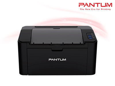 Pantum Laser Printer P2500W (P2500W)