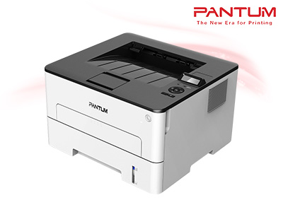 Pantum Laser Printer P3010DW (P3010DW)